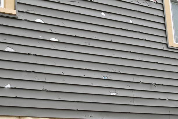 Best Siding Removal and Disposal  in Clifton, TN